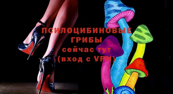 apvp Балахна