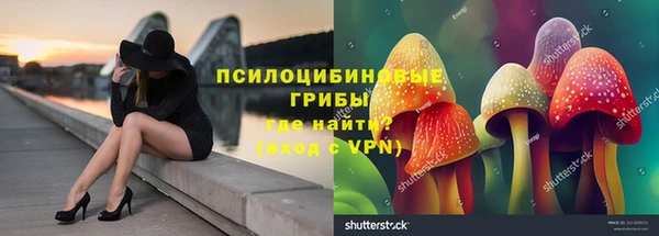 apvp Балахна