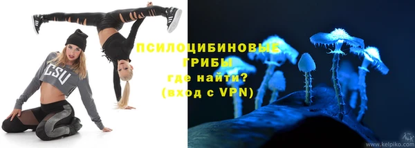 apvp Балахна