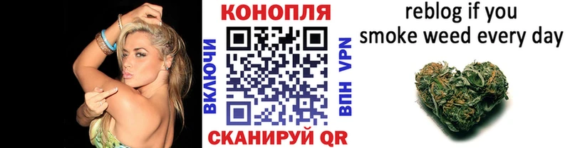 как найти наркотики  Сосновый Бор  Бошки марихуана SATIVA & INDICA 